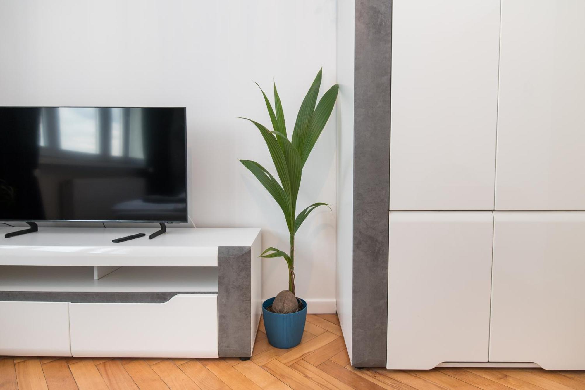 Apartament Dworcowa 24 Gliwice Dış mekan fotoğraf